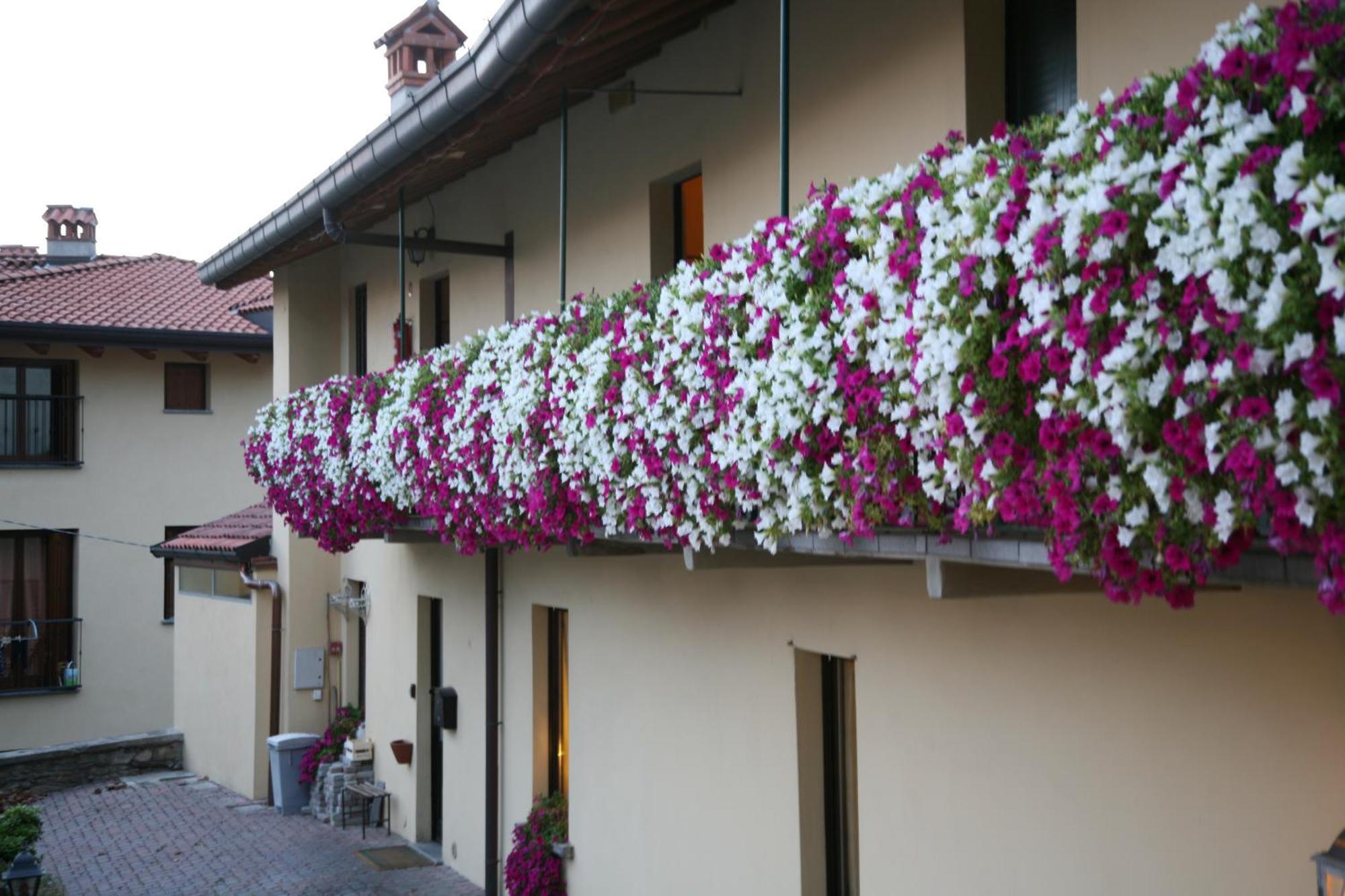 Locanda Dell'Oca Bianca Como Exteriör bild
